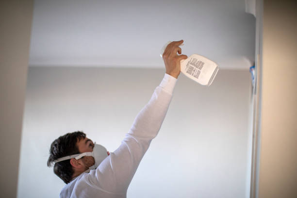 Best Mold Cleaning Services  in Wtell, LA