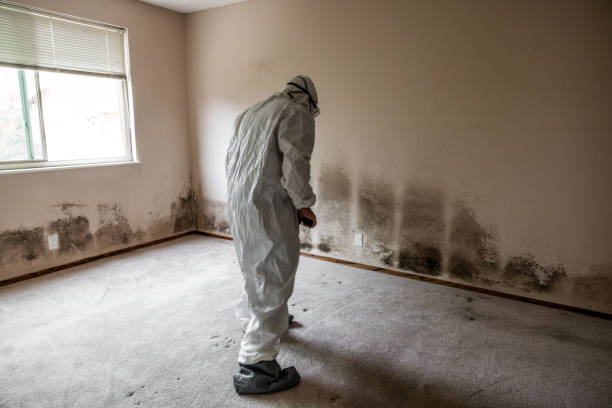 Best Crawl Space Mold Removal  in Wtell, LA
